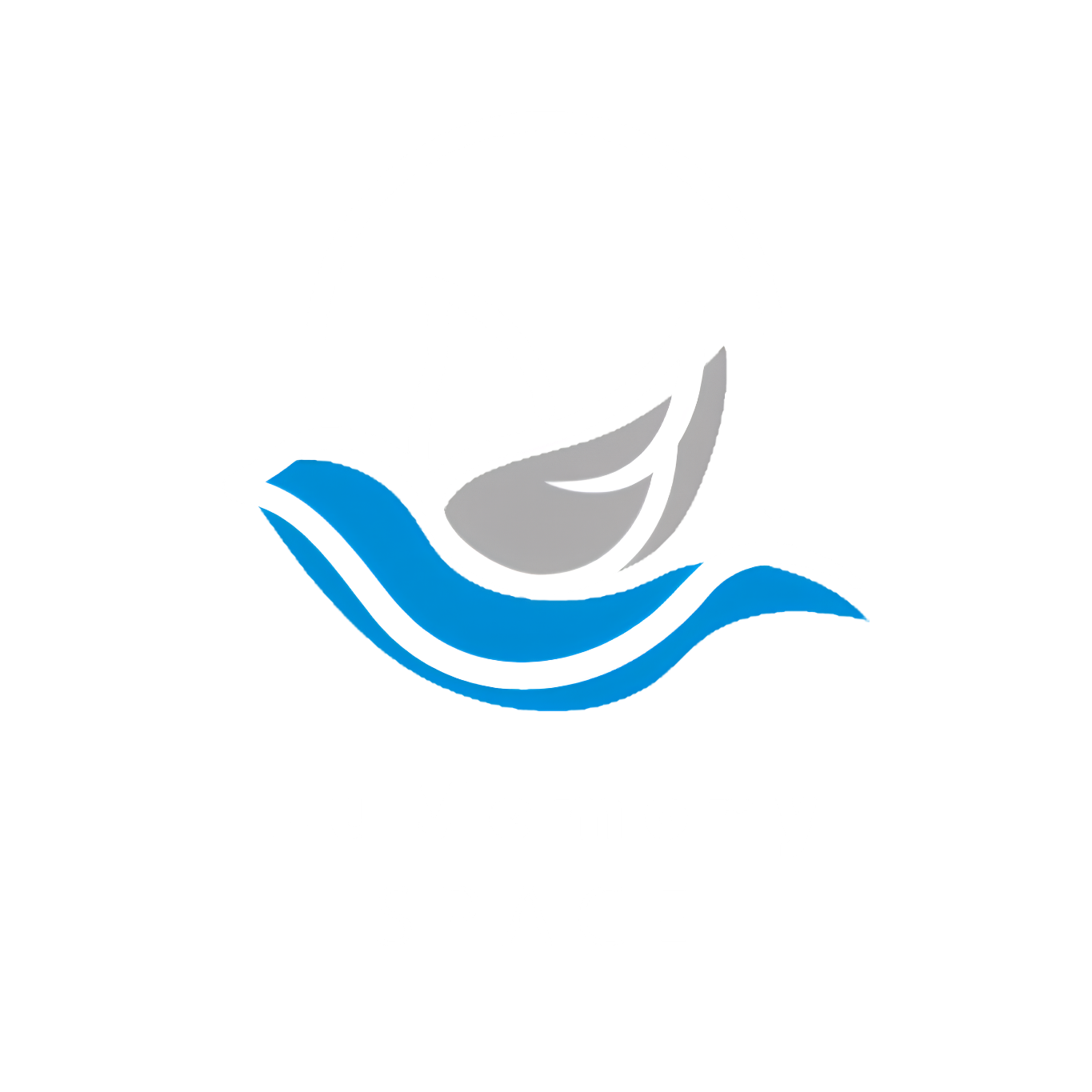 LuMemory Space logo